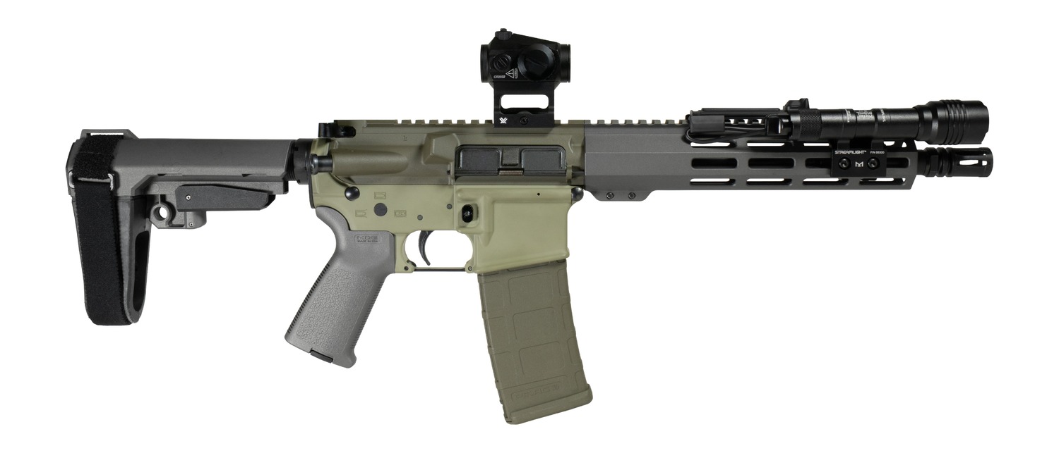 Shark Coast Tactical SCC06872BUGBR300P Bug Bear Bundle 300 Blackout 30+1 10" Threaded Barrel, Aluminum Receiver w/Picatinny Rail, M-LOK Handguard, Polymer SB Tactical SBA3 Brace, Streamlight ProTac Ra