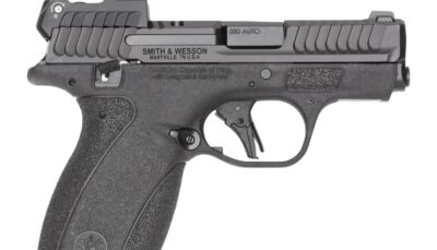 S&W BODYGRD 2.0    14785 380 2.75 TS RFX1   10/12R