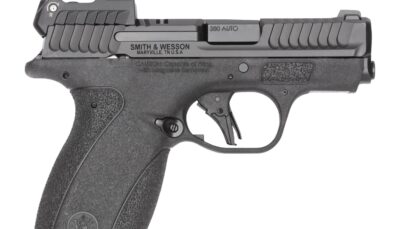 S&W BODYGRD 2.0    14786 380 2.75    RFX1   10/12R