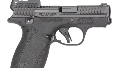 S&W BODYGRD 2.0    14787 380 2.75 TS RFX1      10R