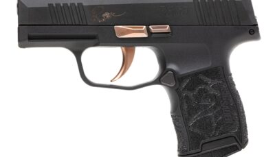 Sig Sauer 365380ROSE P365 Rose Kit Micro-Compact 380 ACP 10+1 3.10" Black Nitron Stainless Steel Optic Ready/Serrated Slide, Black w/Rose Gold Accents Stainless Steel Frame w/Accessory Rail, Black Las