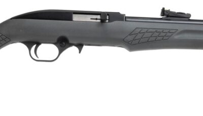 Rossi RS22L1811G RS22  22 LR 10+1 18" Black Matte Barrel, Black Aluminum 3/8" Dovetail Receiver, Fixed Gray Synthetic Stock