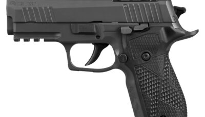 Sig Sauer 226XCA9RXSL P226X w/Optic Carry 9mm Luger 18+1 3.80" Black Bull Barrel, Matte Black DLC Stainless Steel Serrated w/Optic Slide, Black Anodized Alloy Frame w/Picatinny Rail, Black Hogue G10 G