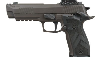 Sig Sauer 226X59LEGIONSAORXSL P226 X5 Legion w/Optic Full Size 9mm Luger 20+1 4.40" Legion Gray Cerakote Stainless Steel Integrated Compensator/Serrated w/Optic Slide & Alloy Frame w/Picatinny Rail, L