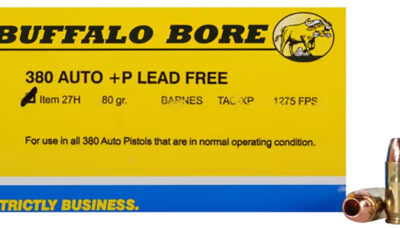 Buffalo Bore Ammunition 27H20 Buffalo-Barnes Strictly Business 380ACP +P 80gr Barnes TAC-XP Lead Free 20 Per Box/12 Case
