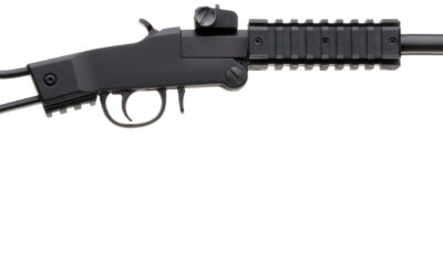 CHIAPPA LITTLE BADGER 22LR 16.5 TB QUAD RAIL