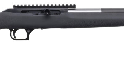 MR STRAIGHT PULL BOLT 22WMR 19 BLK HOGUE