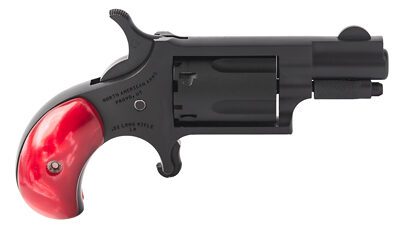 NAA MINI REV ZORRO 22LR W/BUCKLE BK