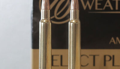 WBY AMMO 340WBY 250GR INTERLOCK 20/10