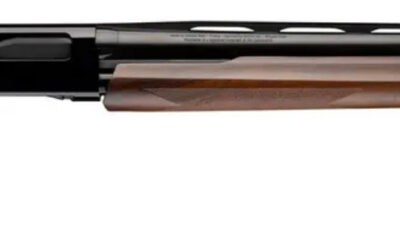 WIN SXP HIGH GRADE UPLAND FIELD 12GA 3 28