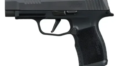 SIG P365 380ACP 3.1 OR (2) 10RD BLK COMP