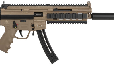 GSG GSG215GERGGSG1622T GSG-16  Full Size 22 LR 22+1 16.25" Black Tan Polymer Receiver Black Collapsible w/Storage Compartment Stock Right Hand