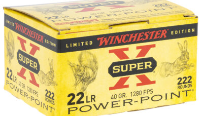 Winchester Ammo X22LRPPB Super X  22LR 40gr Plated Hollow Point 222 Per Box/10 Case