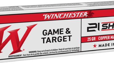 Winchester Ammo S21SLF USA  21Sharp 25gr Copper Matrix 100 Per Box/20 Case