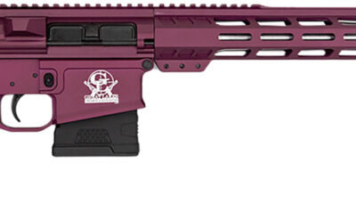 Great Lakes Firearms GL10308SSCHY GLFA  308 Win 10+1 18" AR-10 Stainless Steel Black Cherry
