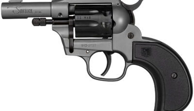 DIA DB0600A051 22LR/WMR SDKCK BIRDSHD 3 9R GRY
