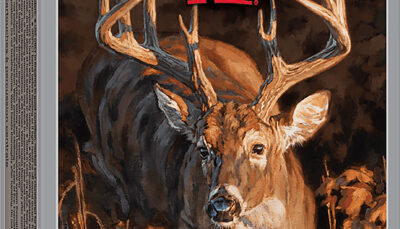 Winchester Ammo X65DS2 Deer Season XP 6.5Creedmoor 140gr 20 Per Box/10 Case
