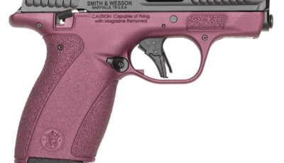 S&W BODYGRD 2.0    14661 380      TS H-319 BCF
