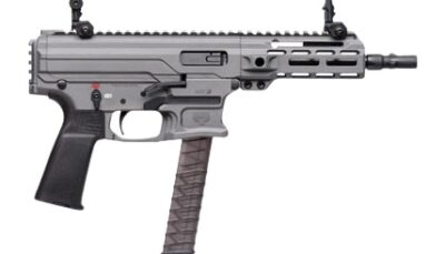 Panzer Arms PAARP9PCCTG ARP9 9mm Luger 33+1 6.50" Black Barrel, Tactical Gray Aluminum Receiver w/Picatinny Rail, Rear Picatinny Rail, Black Polymer Grip, Ambidextrous