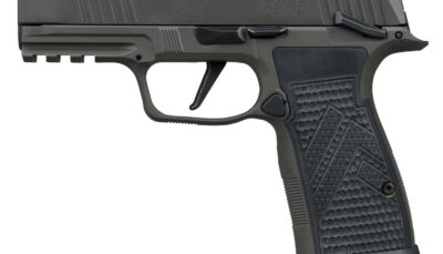 Sig Sauer 365AXGCA9LEGIONMSMA P365 AXG Legion MA Compliant Compact 9mm Luger 10+1 3.10" Black Barrel, Legion Gray Cerakote Stainless Steel Integrated Compensator/Optic Ready Slide & Frame w/Picatinny