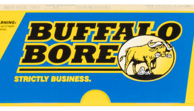Buffalo Bore Ammunition 47C20 Hunting & Sniping Strictly Business 458SOCOM 350gr Semi Jacketed Flat Point 20 Per Box/12 Case
