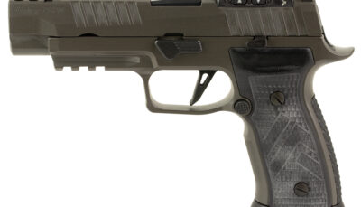 SIG P320AXG 9MM 3.9" LEG COMP RXSL