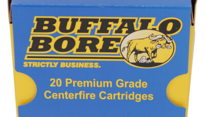 Buffalo Bore Ammunition 27E20 Standard Pressure Strictly Business 380ACP 100gr Hard Cast Flat Nose 20 Per Box/12 Case
