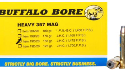 Buffalo Bore Ammunition 19C20 Heavy Strictly Business 357Mag 158gr Jacket Hollow Point 20 Per Box/12 Case