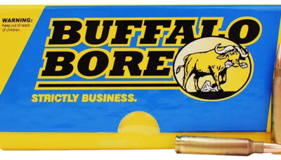 Buffalo Bore Ammunition S2237720 Sniper Strictly Business 223Rem 77gr Hollow Point Boat Tail 20 Per Box/12 Case