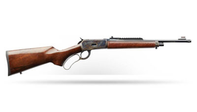 CHIAPPA 1892 WILDLANDS 44MAG 16.5 CASE COLORED
