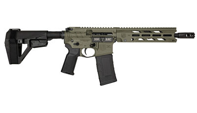 DBF DB15OBS 300BLK 10" 30RD ODG BRC