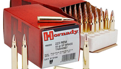 HORN CUSTOM 223REM 55GR SP 50/10