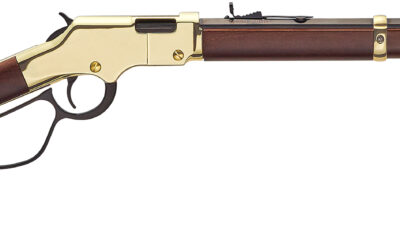 HENRY GOLDEN BOY 17HMR 20 LARGE LOOP