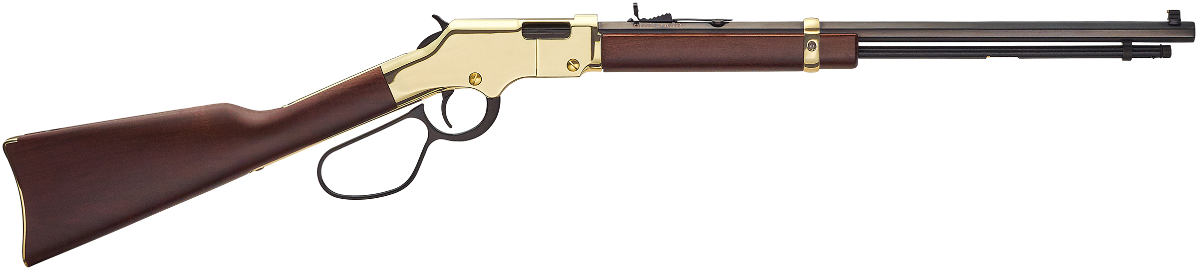 HENRY GOLDEN BOY 17HMR 20 LARGE LOOP