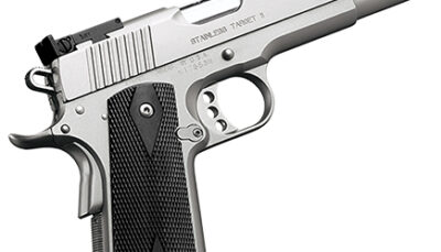 KIMBER 1911 STAINLESS TARGET II 10MM 5