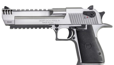 MR DESERT EAGLE 50AE 6 SS BOTTOM RAIL INT BRAKE