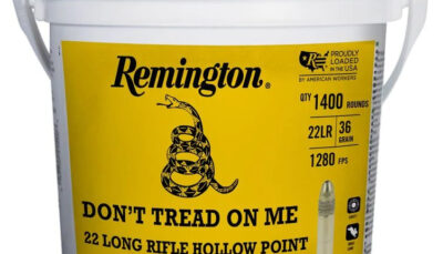 REM GOLDEN BULLET HV 22LR 36GR HP 1400/4