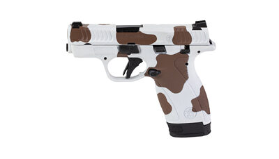S&W BDYGRD 2.0 380ACP 2.75 12RD COW