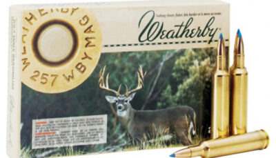 WBY AMMO 338-378 225GR BARNES TTSX 20/10
