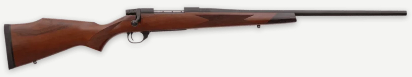 WBY VANGUARD 2 22-250 24 TB SPORTER