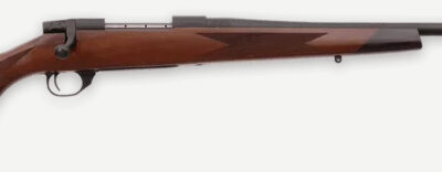 WBY VANGUARD 2 25-06 24 TB SPORTER