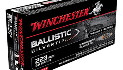 WIN BALLISTIC SILVERTIP 223REM 55GR BST 20/10