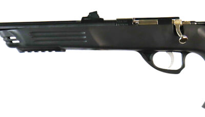 Crickett KSA693 Adult Pistol 22 LR 1rd 10.50" Blued Threaded Barrel w/Cap, Williams Fire Sights, Integrated Picatinny Accessory Rail, Synthetic Grip, Rebounding Firing Pin Safety
