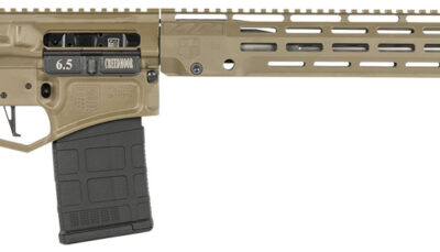 Diamondback DB1060M061 DB10  6.5 Creedmoor 20" 20+1,5+1 Flat Dark Earth Magpul MOE Carbine Stock Black Magpul MOE-K2+ Grip 15" M-Lok