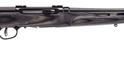 Savage Arms 47800 A Series Matte Gray Full Size 17 WSM 8+1 22" High Luster Heavy Barrel, High Luster Drilled & Tapped Carbon Steel Receiver, Matte Gray Thumbhole Laminate Stock, Right Hand