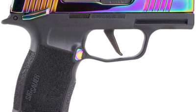 SIG 365X9RBTMS P365X 9MM OR 3.1 12R RNB
