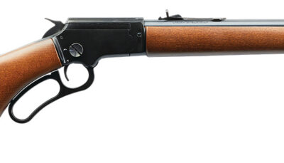 Chiappa Firearms 920433 LA322 Carbine Takedown 22 WMR 10+1 18.50", Blued Barrel/Rec, Pistol Grip Style Stock, Adj. Sights, Dovetail Base