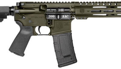 Diamondback DB1916B101 DB15 300 AAC 30+1 10" OD Green Cerakote Heavy Barrel 9" M-LOK Handguard 7075-T6 Aluminum SBA3 Brace Magpul MOE Grip
