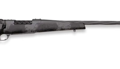 Weatherby MLW01N243NR4B Mark V Live Wild 243 Win 4+1 24" Carbon Gray Cerakote Right Hand