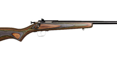 Chipmunk 00005 Gen2  22 LR 1rd 16.10" Blued Tapered Single Shot Barrel, Fixed Camo Laminate Stock